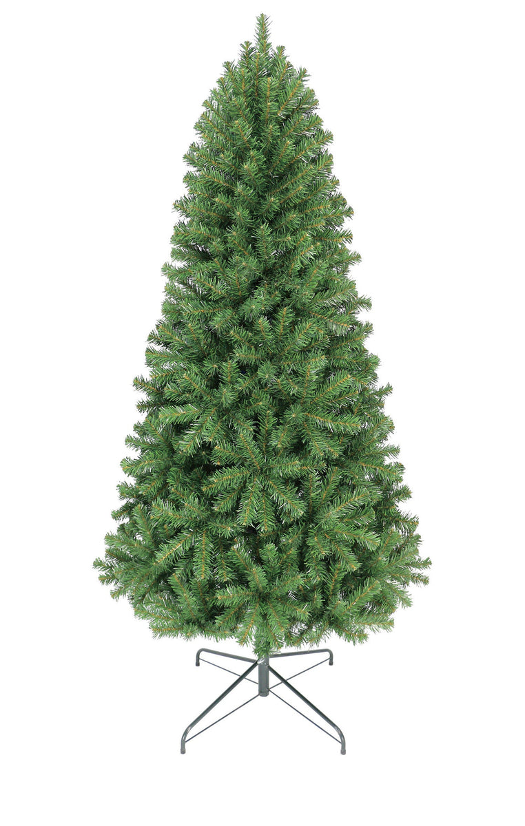 6ft Aspen Fir – Oncor Trees Canada