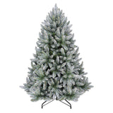 5ft Frosted Silver Fir