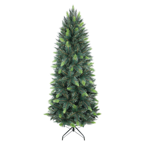 6ft Slim Parana Pine